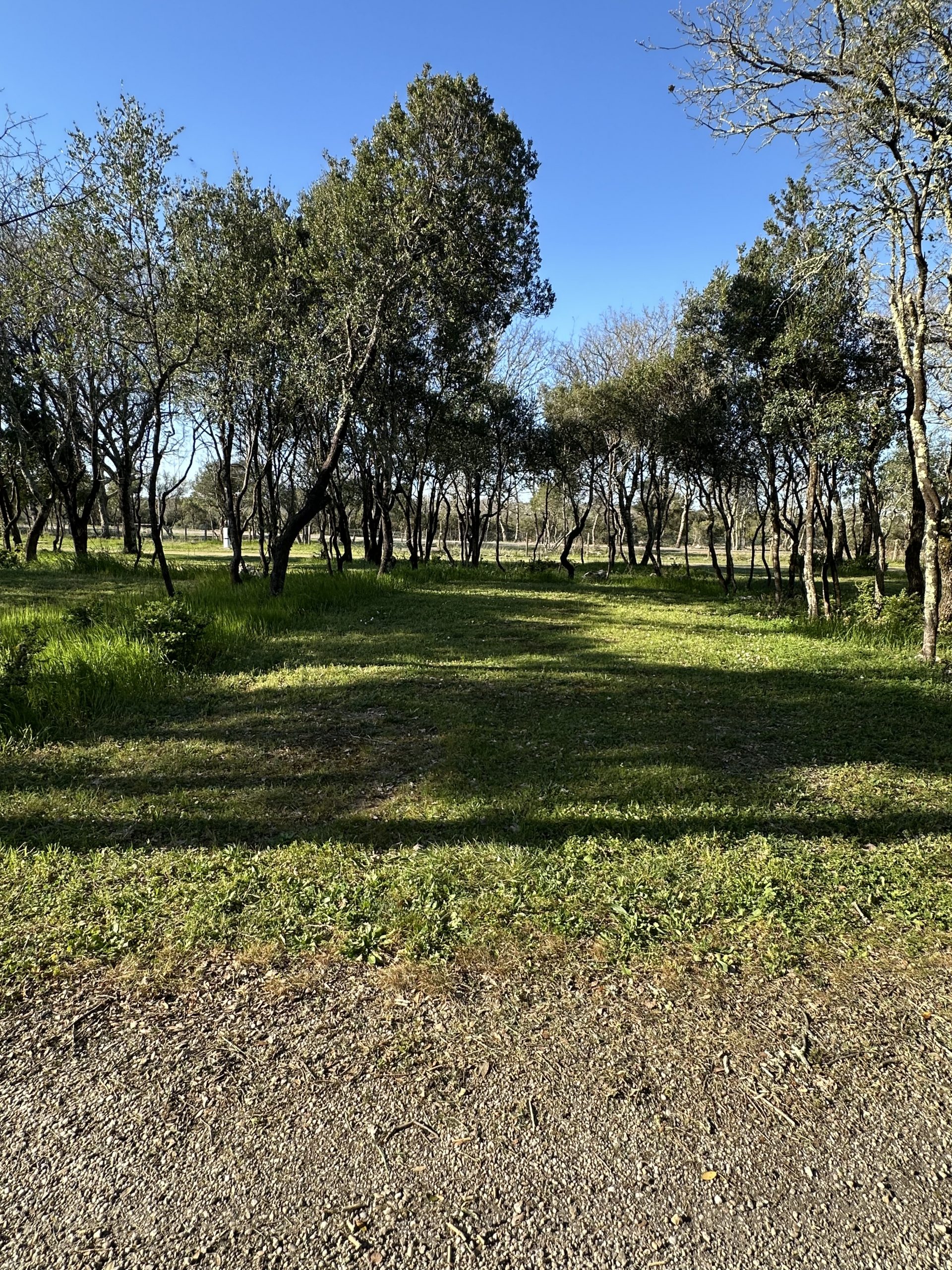 Camping pas cher dans le Gard